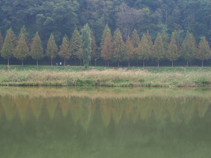  아름답고 한적한 장소를 찾았다. 충북 진천 농다리
