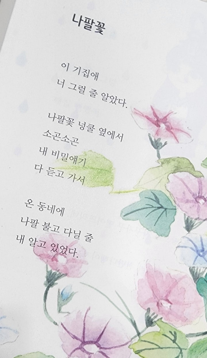 194.첫눈에 대한 보고서/ 백민주 : 네이버 블로그