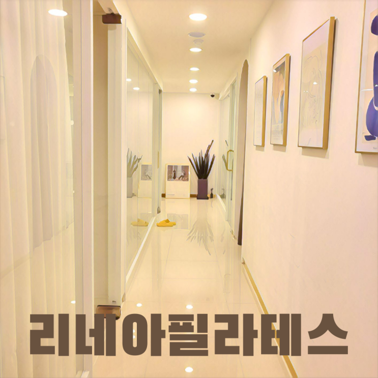  [서울 중구]을지로 직장인에게 최적화된 동대문 필라테스 ::리네아 필라테스::
