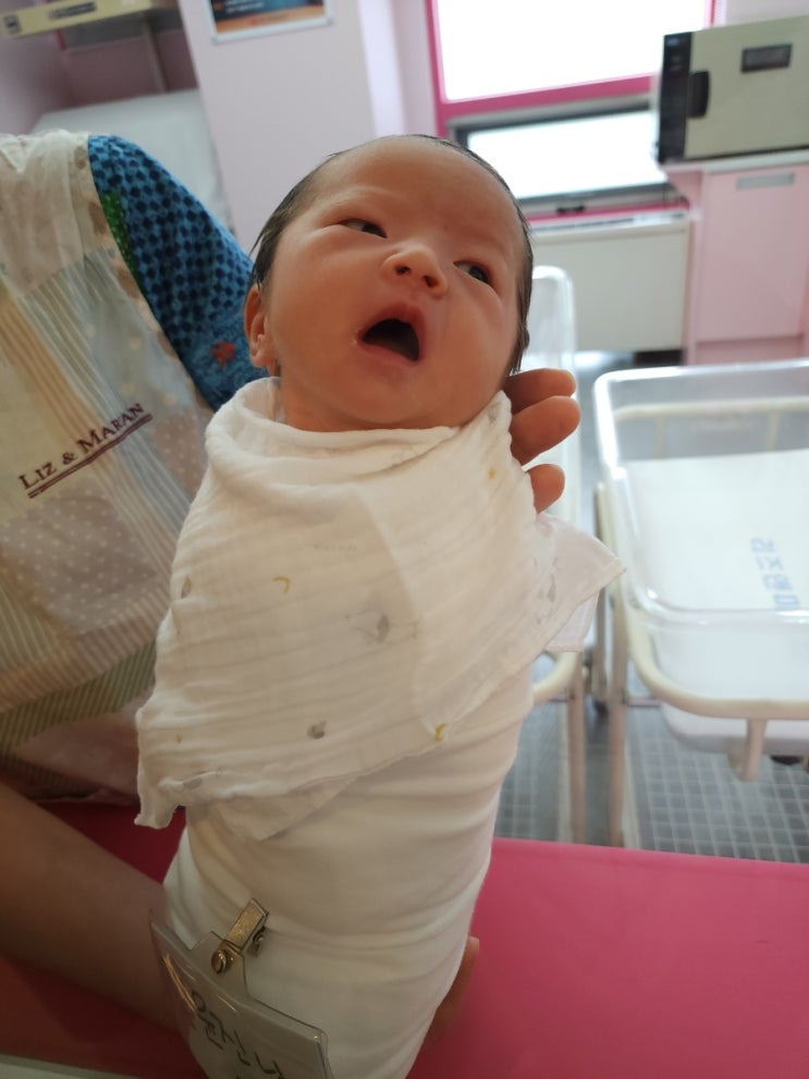  Cheer up judy 생존신고 겸 출생신고 !! 범이 건강히 출산했어요^^