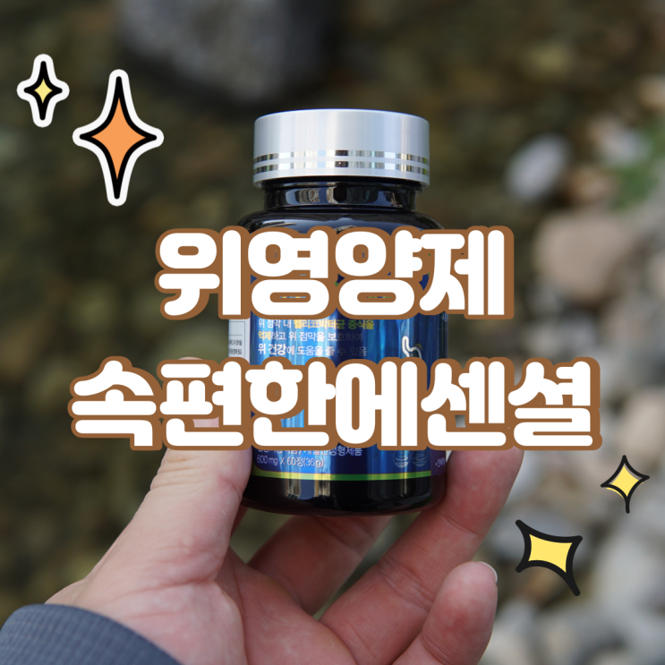  위영양제 직장인이 챙겨야하는 이유
