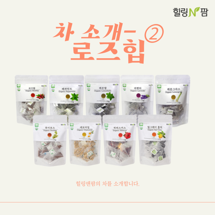  [티백차] 로즈힙이란? 로즈힙차, 로즈힙 효능, 로즈힙 카페인, 로즈힙티 추천