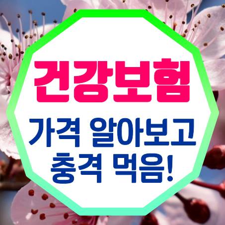  30대 여성 건강보험 및 보험료는 얼마인지 알아본 결과 충격받았다.