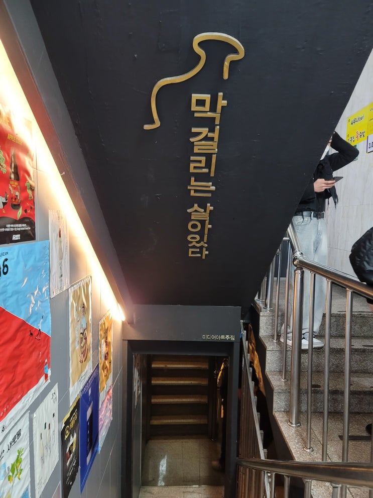 압구정 막걸리는 살아있다 다양한 주류와 막걸리를 즐길 수 있는 술집 압구정 막걸리는 살아있다 다양한 주류와 막걸리를 즐길 수 있는 술집