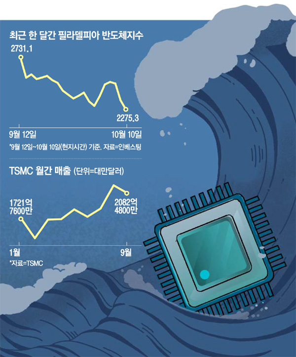 美 수출규제에 TSMC 와르르…세계 반도체 시총 344조 증발