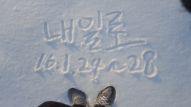  [목포행내일로]전주-광주-담양-목포-여수:추운겨울 했던 고생이 평생간다. #국내여행