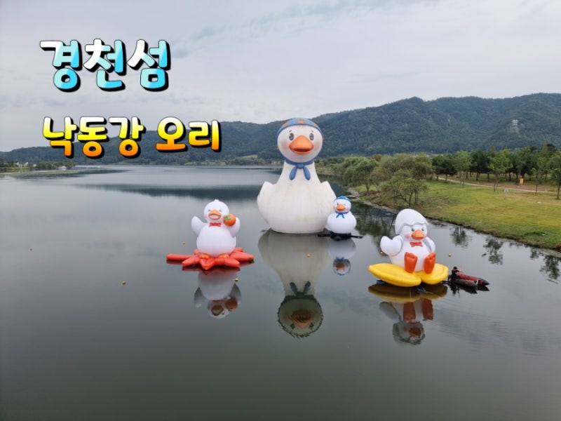 네이버 인플루언서 [네이버 인플루언서] 태지맘의 경천섬
