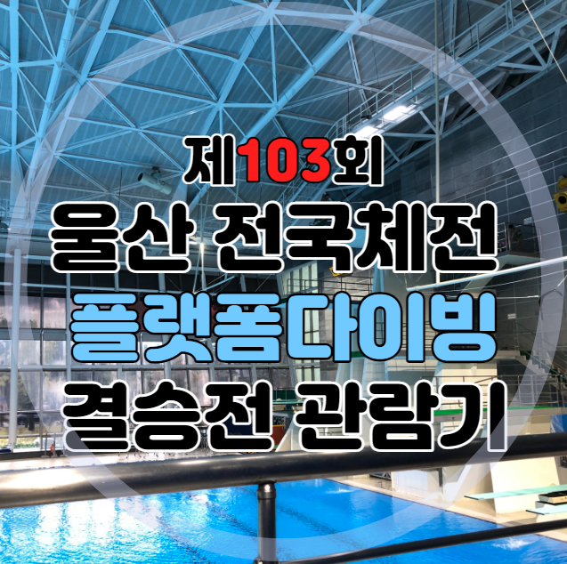 전국체전 다이빙 한지우선수 관전 소감과 <b>황선우 선수</b> 남은... 