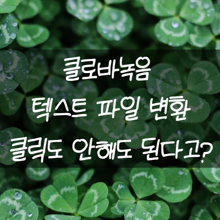  클로바노트 녹음 텍스트 변환