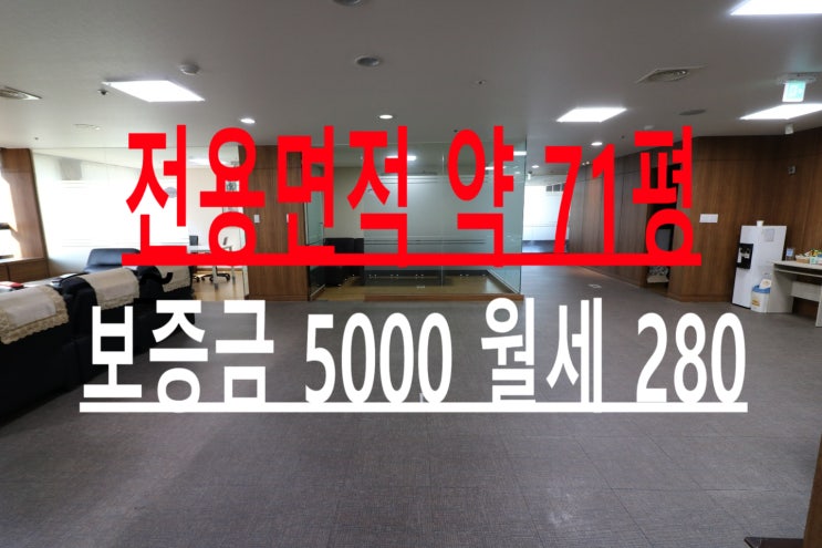  대전 둔산동 중대형 사무실 임대 법원, 검찰청 앞 도로변 무권리 깔끔