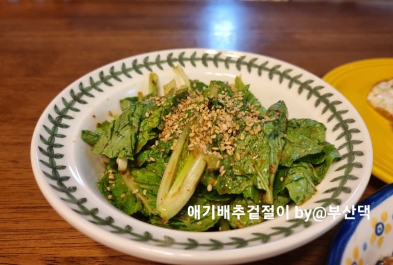 만능 겉절이 양념 만드는법/애기배추 겉절이 차돌된장찌개와 밥 비벼먹기