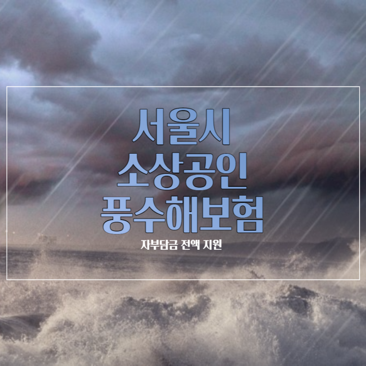 서울시 소상공인 풍수해보험 자부담금 전액 지원 선착순 신청 방법 서울시 소상공인 풍수해보험 자부담금 전액 지원 선착순 신청 방법
