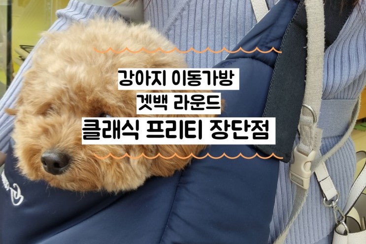  겟백 라운드 클래식 프리티 강아지 가방 장단점