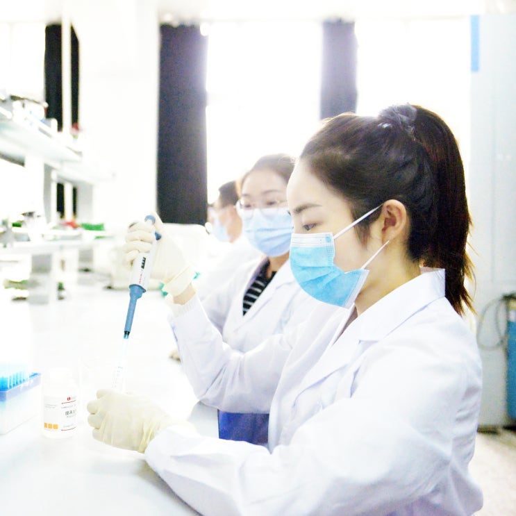 특목고 종류 (외고 국제고 과학고 예술고 체육고 마이스터고) 특목고 종류 (외고 국제고 과학고 예술고 체육고 마이스터고)