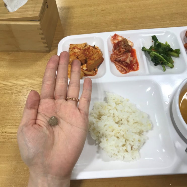  체중조절한약 진실 혹은 거짓