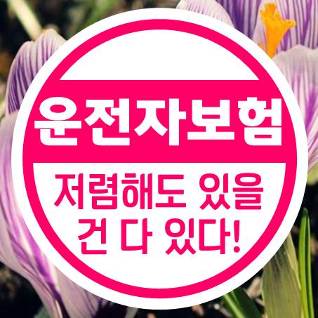 6475원으로 개인운전자보험 가입할 수 있다.