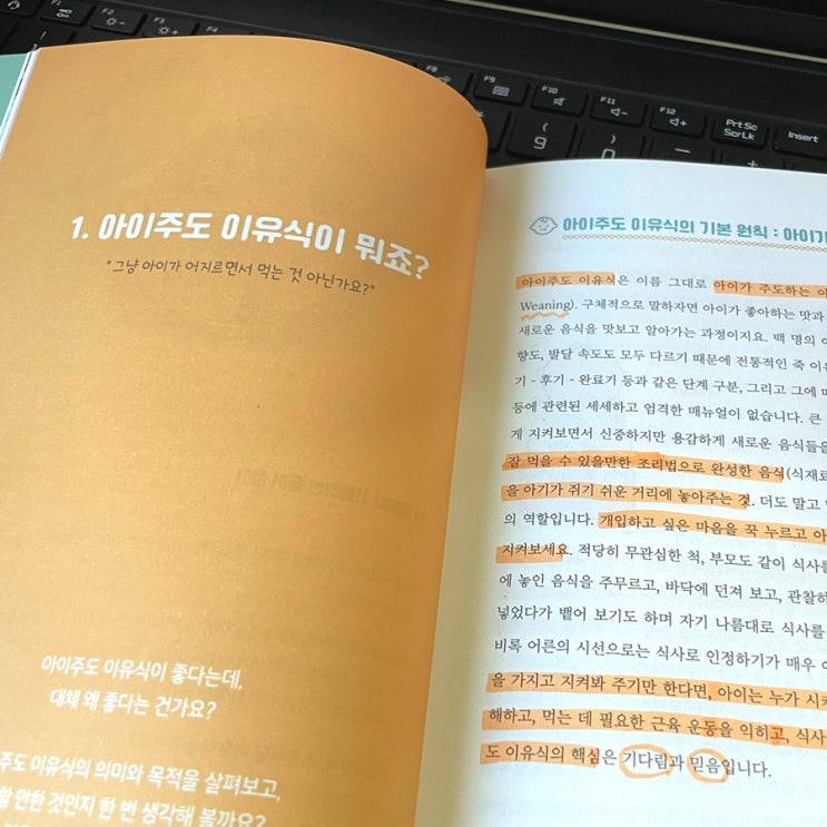 아이주도 이유식 유아식 책, 레시피북, 맘마 다이어리(feat.BLW연구소)