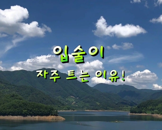 환절기 입술이 자주 트는 이유! 환절기 입술이 자주 트는 이유!