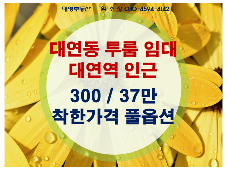  대연동 투룸 착한가격에 임대 나왔어요. 먼저 보시는분이 임자.