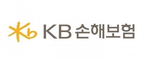 5년간 대리운전자보험 보험금지급분쟁 21만여건…KB손해보험 1위 5년간 대리운전자보험 보험금지급분쟁 21만여건…KB손해보험 1위