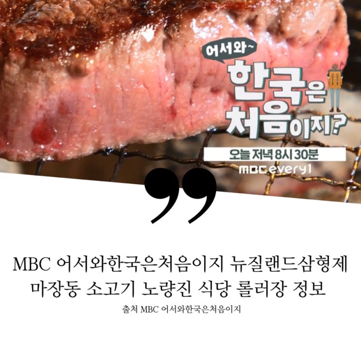  어서와한국은처음이지 뉴질랜드 한우에꽂힌삼형제 마장동 축산물시장 정육점 소고기집 한우한상 안심 새우살 육회 노량진수산시장 짠내먹방 회식당가 횟집 초장집 롤러스케이트 롤러장 유람선