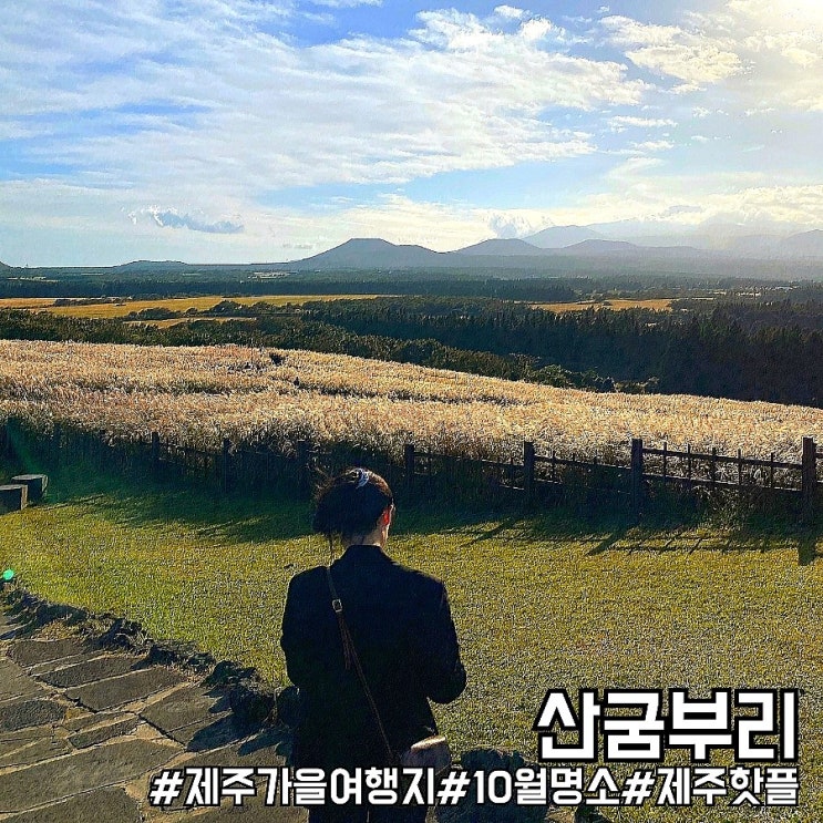  제주도 가을 여행지 강력추천! 특이한 분화구와 억새 명소 산굼부리!