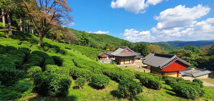  경남 사천의 가볼만한 곳 한국차문화의 산실 다솔사(多率寺)