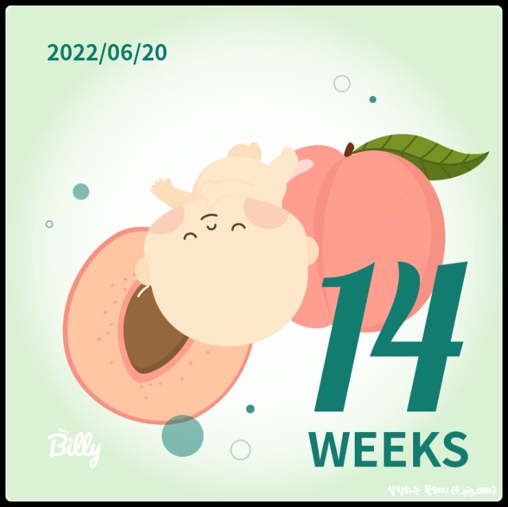  임신기록_ 임신 14주차 (1차입체초음파, 성별힌트, 임신소양증, 입덧끝?, 임산부속옷사기)