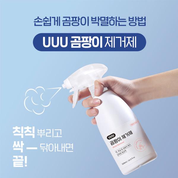  [곰팡이 제거제 추천]베란다/욕실/창틀/도배/화장실