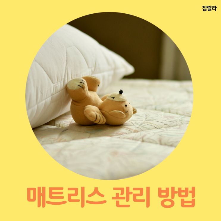  살림꿀팁  침대 매트리스 관리 방법!