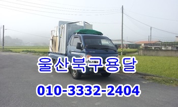울산북구용달 외동 모화 입실 불국사, 울산북구용달 외동 모화 입실 불국사,