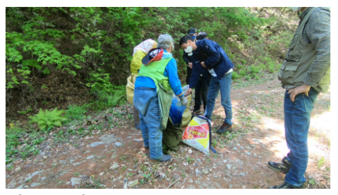 산림에서 임산물 무단 채취하면 불법행위로 처벌_산림청 산림에서 임산물 무단 채취하면 불법행위로 처벌_산림청
