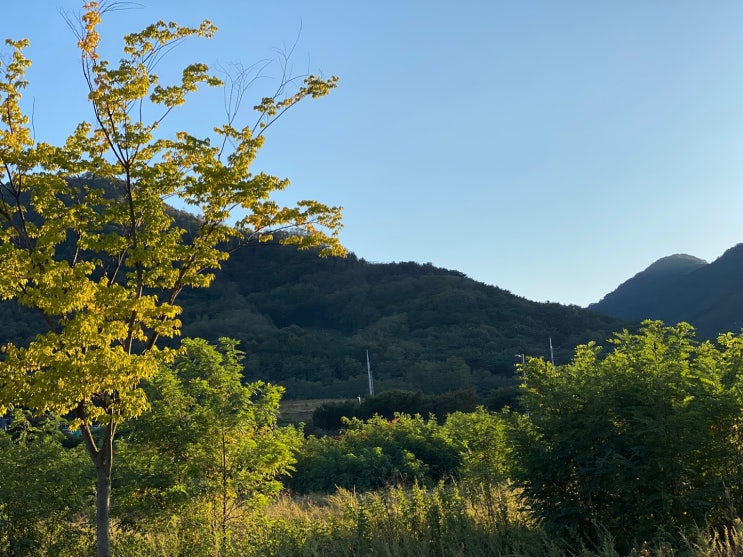 하루만큼의 삶