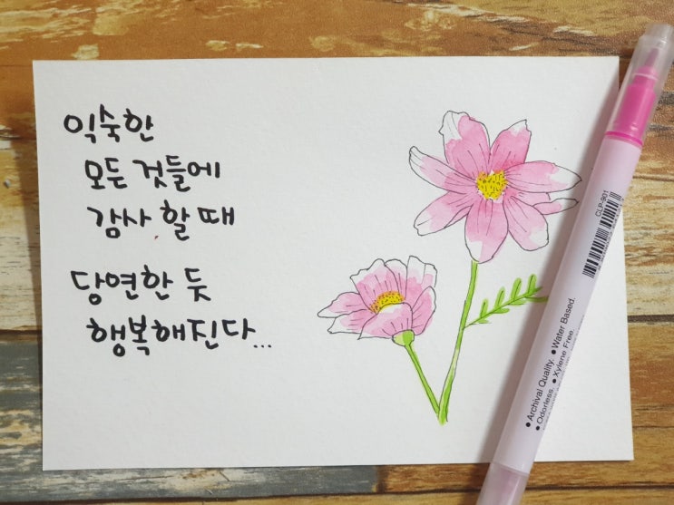  산책길에 만난 코스모스