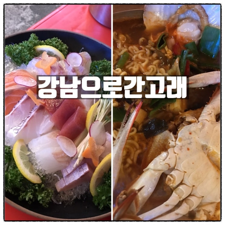 강남으로간고래 타임월드 핫플 대전 둔산동 횟집 실내 포장마차 데이트 모듬숙성회 꽃게해장라면 후기 강남으로간고래 타임월드 핫플 대전 둔산동 횟집 실내 포장마차 데이트 모듬숙성회 꽃게해장라면 후기