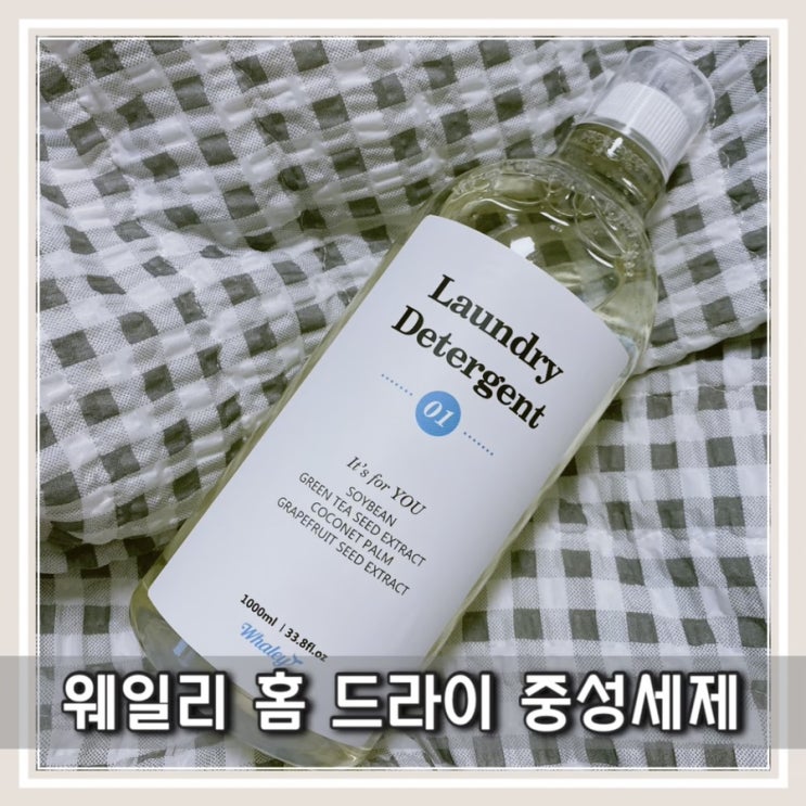  웨일리 홈드라이클리닝 세제 니트 울세제 온가족 중성세제 추천