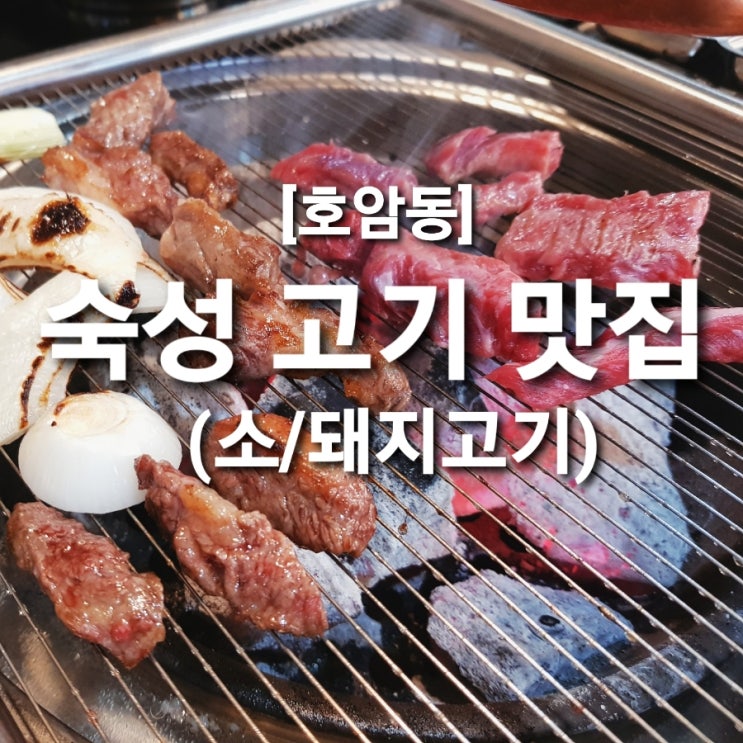토성 푸줏간 충주 호암동 숙성 소고기 돼지고기 맛집