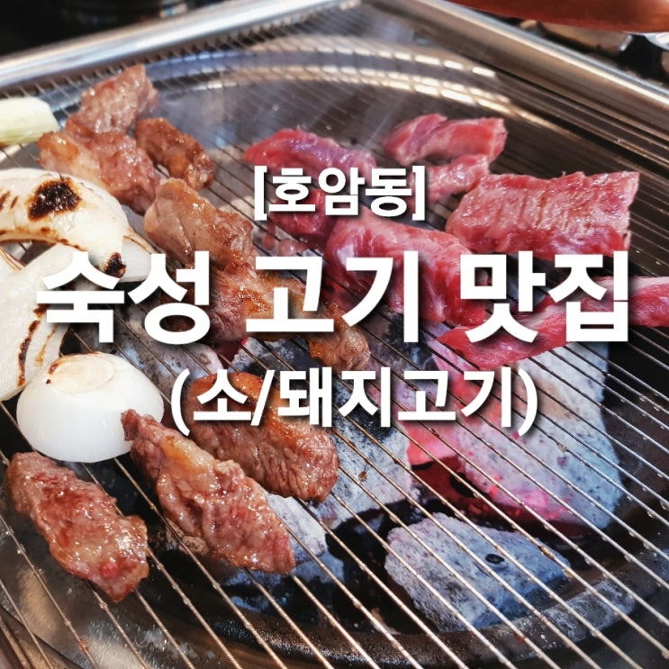  토성 푸줏간 충주 호암동 숙성 소고기 돼지고기 맛집
