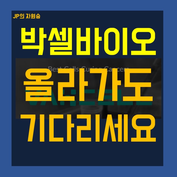  박셀바이오 주가 올라가도 기다리세요