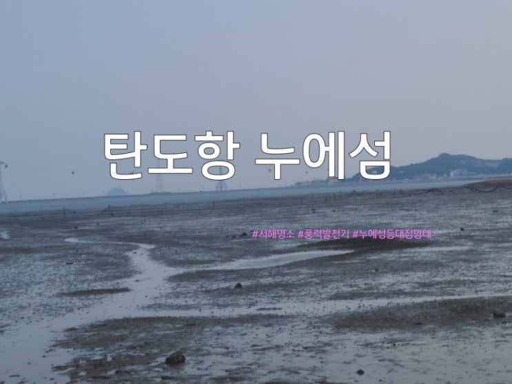  대부도 모세 기적 누에 섬 풍력발전기