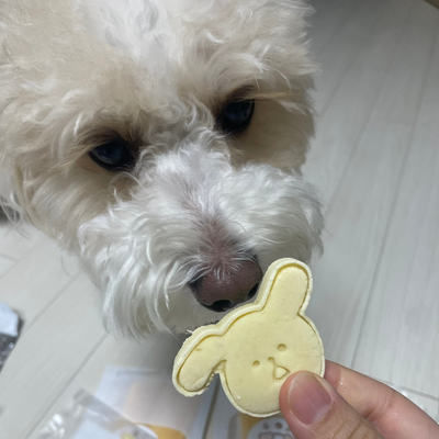  [반려동물 수제간식] 댕앗간 l 사람도 먹을 수 있는 휴먼그레이드 식재료를 이용한 펫푸드(알럽콩)