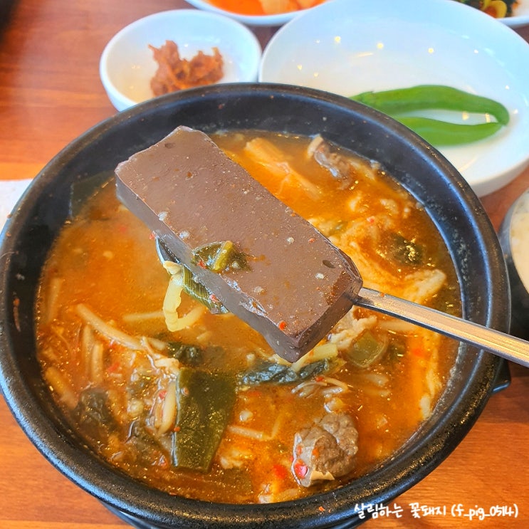  대구 송해공원 밥집 수구레선지국밥 배정식당