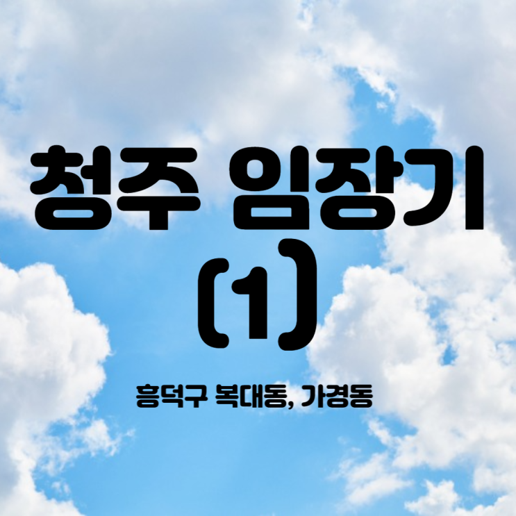 청주 임장기 (1)-흥덕구 복대동/가경동 후기