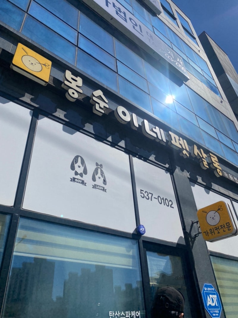 사진 2