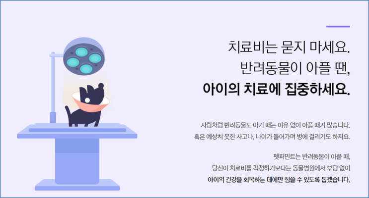 펫보험 - 블로그 주인장 증권을 공개합니다. 펫보험 - 블로그 주인장 증권을 공개합니다.
