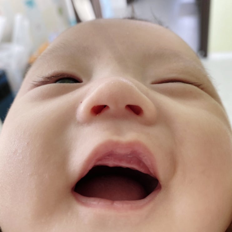  콧구멍이 작아 슬픈 행운이 (신생아 코막힘, 마더케이면봉/핀셋, 크린클 멸균생리식염수, 결국 노시부 지름 )