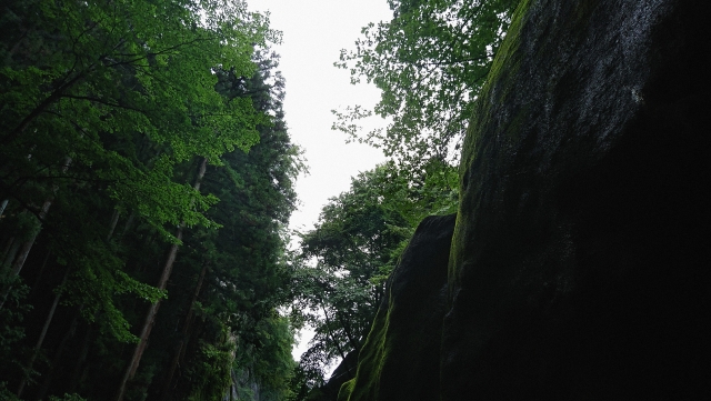  [2ch 괴담] 행방불명