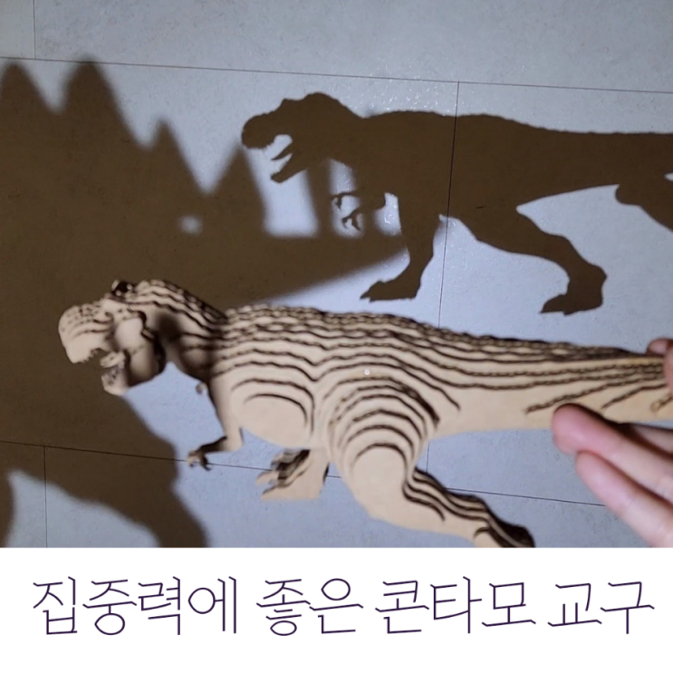  산만한 아이 집중력에 도움 되는 콘타모 친환경 교구