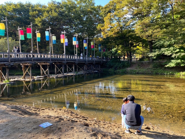  한국민속촌은 일찍 가세요. 오픈런 추천 (입장료, 장터, 체험)