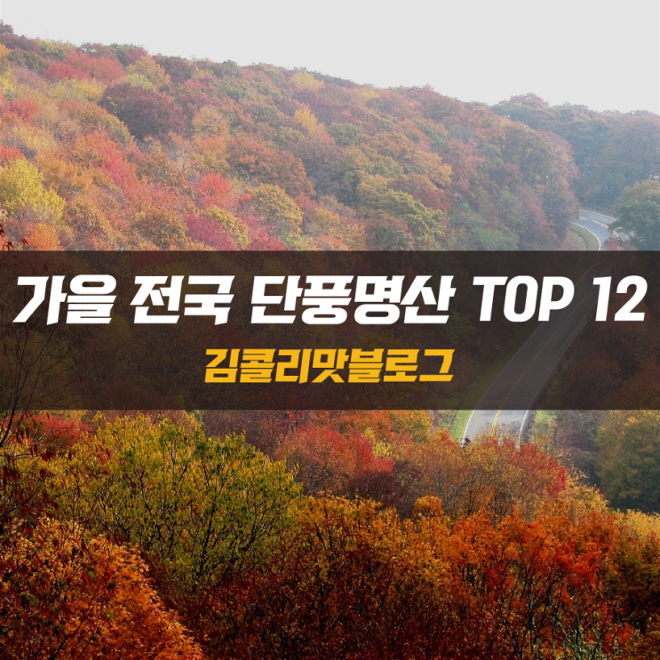  가을 전국 단풍 명산 TOP12 단풍 시기와 추천코스